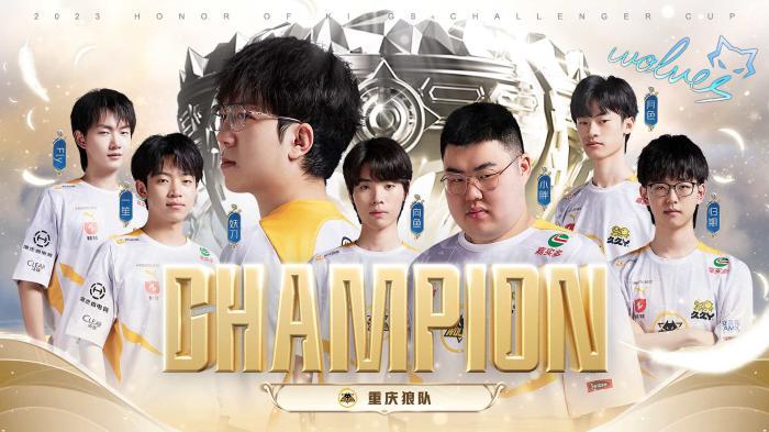 骑士阵容的